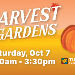 Turtle Bay's Harvest In the Gardens Event
